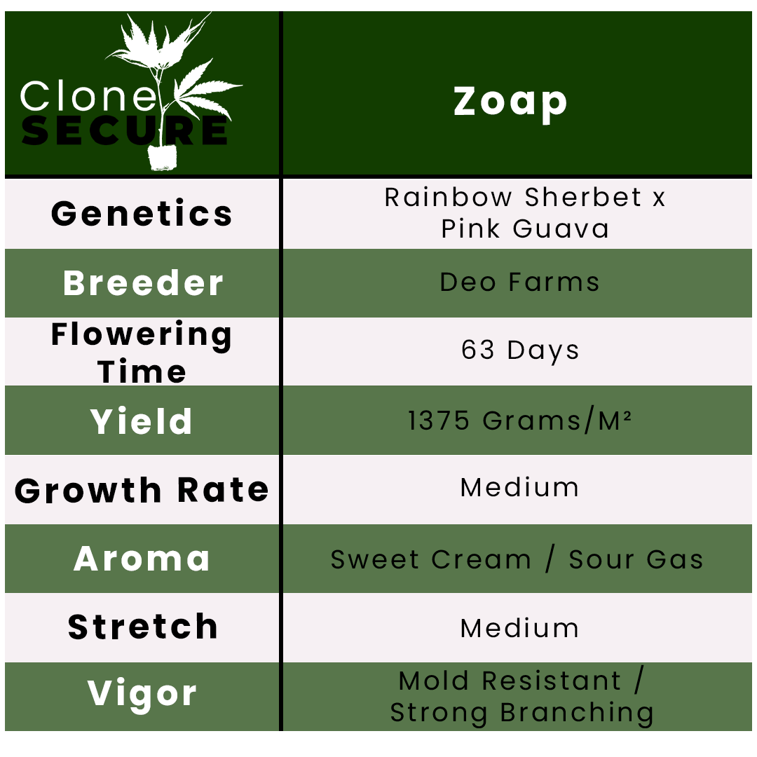 Zoap